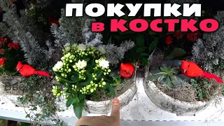 Покупаем новогодние подарки детям в Costco / Рождественские сладости в Америке / Что дарят в США