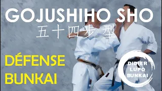 GOJUSHIHO SHO Défense et Bunkaï par Didier Lupo