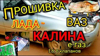 Отключаем катализатор на Лада Калина ВАЗ 1.6, 8 кл. Е-газ с ЭБУ М 7.4 11183-1411020-52. Ошибка 0422.