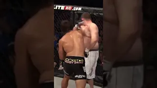 Andrei Arlovski vs Roy Nelson (2008)