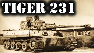 TIGER 231 El Tanque que No Podía Morir