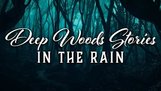 15 TRUE Deep Woods Horror Stories in the Rain | TRUE Scary Stories In the Rain | Raven Reads