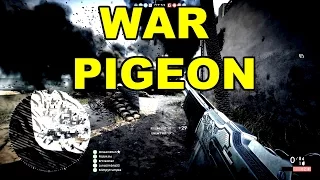 Battlefield 1 War Pigeons Gameplay Highlights