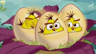 Angry Birds Toons - Egg sounds