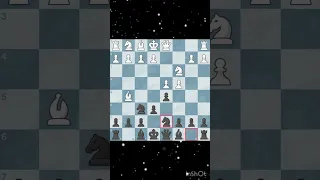 How to Crush the Queen’s Gambit!