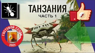 ПУШКА! ЦЕНТРАЛЬНАЯ АФРИКА МУРАВЬИ. ЭКСПЕДИЦИЯ.