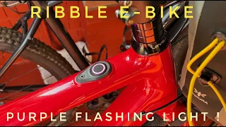 Ribble e-bike purple flashing light fault - MAHLE X35 motor