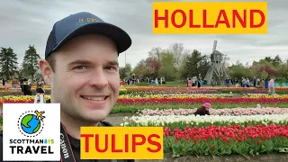 How to See The TULIPS in Holland, Michigan in 2024