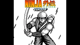 Ninja Gaiden Shadow - Another Ninja in New York