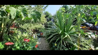 GARDEN VIDEO 2022