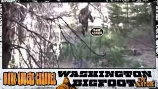 Washington Bigfoot Ape Canyon HD ★★★★