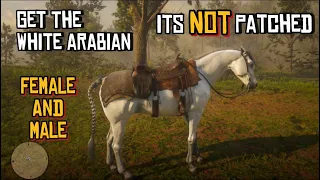 RDR2 - How To Get The White Arabian Horse, Male AND Female | Full Guide