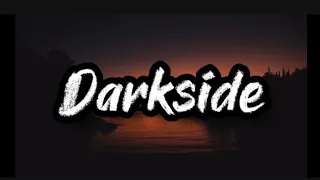 Darkside Karaoke with Backing Vocals - Alan Walker ft. Au/Ra.  #music #karaoke #alanwalker #aura