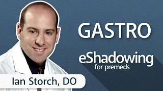 Private Practice Gastroenterology with Ian Storch, DO | eShadowing for Premeds ep. 36