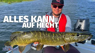 HECHTE im SPÄTSOMMER - Welche KÖDER LAUFEN HEUTE? Unser Ziel ist Fisch mit JÖRG OVENS