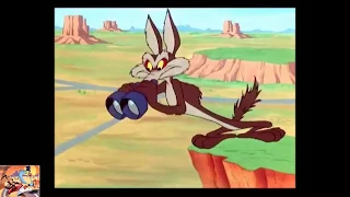 Wile E. Coyote and The Road Runner Part 2