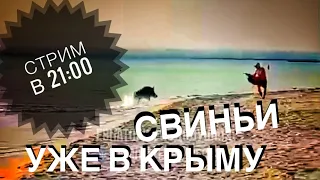 КРЫМ 🔴 ВЫСАДКА ДЕСАНТА В МИРНОМ. Закрытый мост по ночам. СТРИМ В 21:00