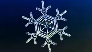 See a snowflake grow before your very eyes