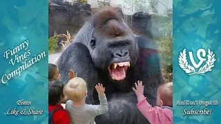 Animals Scaring Kids At Zoo | Animals Love To Scare Cute Kids