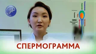 Спермограмма. Когда, как и зачем сдаётся спермограмма. Тоджаева Д.К.