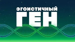 БОЛЬШОЙ РАЗГОВОР #ШВК «Эгоистичный ген» Урсу Наталья 04.06.18