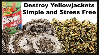 Simple Stress Free Way to DESTROY a Yellow Jacket Ground Nest. SEVIN 5% DUST - Mousetrap Monday.