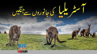 How Australia Was Defeated by Animals | Faisal Warraich