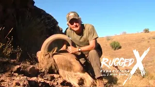 Aoudad Sheep Hunt in Texas