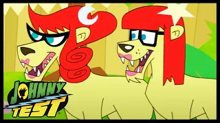 Johnny Test Compilations: Here Johnny, Here Boy & More! | Videos for Kids