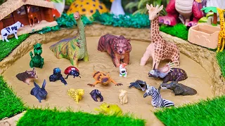 Animal Adventure: Zoo, Domestic, and Dinosaur Animals for Kids Learning | Kidiez World TV