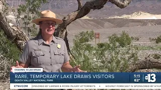 Death Valley's temporary lake continues to draw visitors, but it's already shrinking