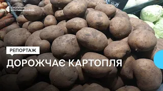 У Кропивницькому подорожчала картопля. Наскільки та чи прогнозують зниження