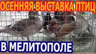 ВЫСТАВКА ПТИЦЫ В МЕЛИТОПОЛЕ 2017год