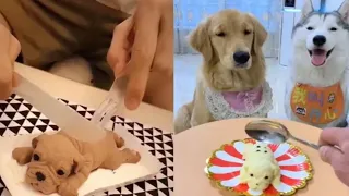 Dog Reaction to Cutting Cake - Funny Dog Cake Reaction Compilation || Viral Nerd