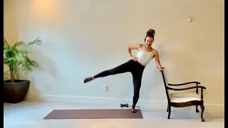 Barre Classic | hand weights