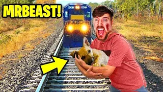 7 YouTubers Who SAVED ANIMALS LIVES! (MrBeast, SSSniperwolf)