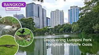 Bangkok's Green Oasis - Lumpini Park