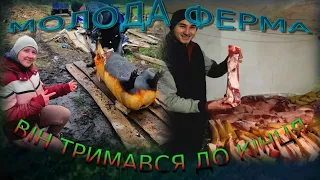 💥РОЗБОРКА СВИНІ І ПЕРЕРОБКА М'ЯСА. МАЙСТЕР-КЛАС ВІД РІЗНИКА!💥