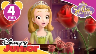 Sofia the First | Mr P | Disney Junior UK