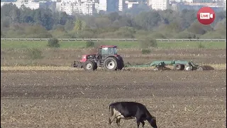 В Слонимском районе восстанавливают заброшенный совхоз