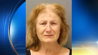 Woman arrested for setting fires