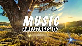 ♪ Это Лёгкая Музыка 2020 для Сказочного Настроения [Antistress TV Music] Relax Music