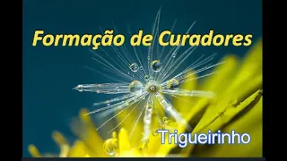 TRIGUEIRINHO - A energia Brill e as curas