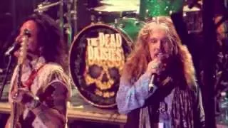 The Dead Daisies - "Midnight Moses" - Official Video