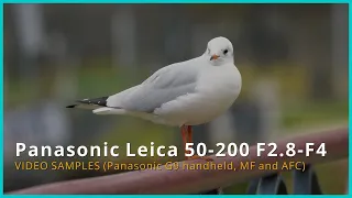 Panasonic Leica 50-200 4k video test footage (with 1.4x TC)