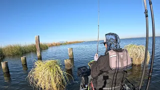 SIGHT FISHING for Pre Spawn Bass In Clear Water | California Delta