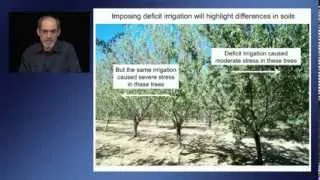 Crop water stress detection and monitoring