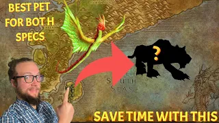 BEST PETS for Phase 3! QUICK and EASY pet for Level 50 | Season of Discovery | World of Warcraft