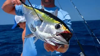 CAUGHT Our Own SUSHI! Catch Clean Cook- DEEP SEA Tuna (Key West)