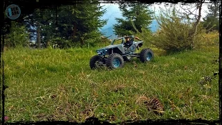 Axial Wraith & AX10 in Austria 2